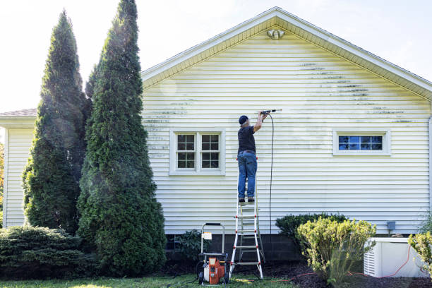 Best Local Pressure Washing Services  in Liberty City, TX