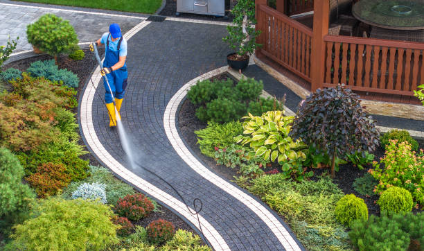 Best Power Washing Near Me  in Liberty City, TX