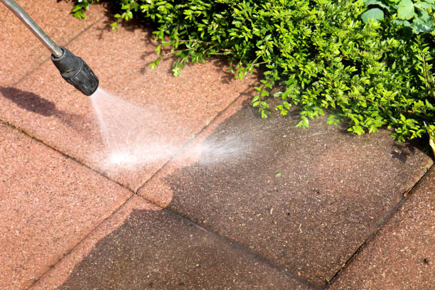 Best Pressure Washing Company Near Me  in Liberty City, TX